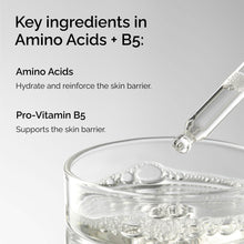 Amino Acids + B5 - Fresh Reset