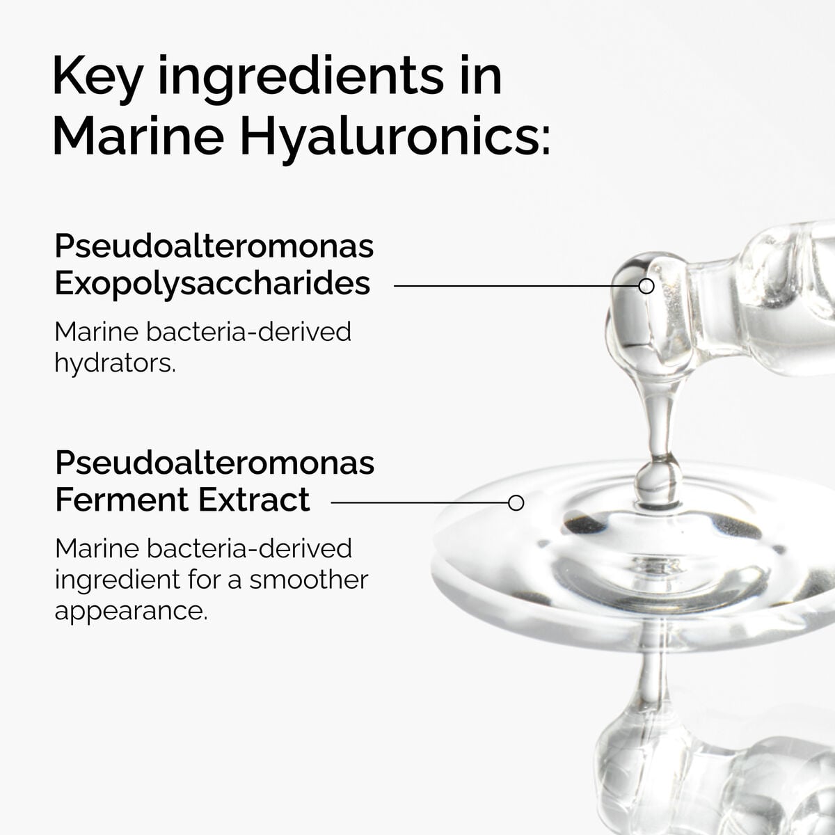 Marine Hyaluronics - Skin Support