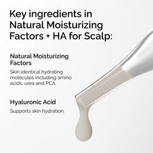 Natural Moisturizing Factors + HA for Scalp - Fresh Routine