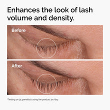 Multi-Peptide Lash and Brow Serum - Clean Color