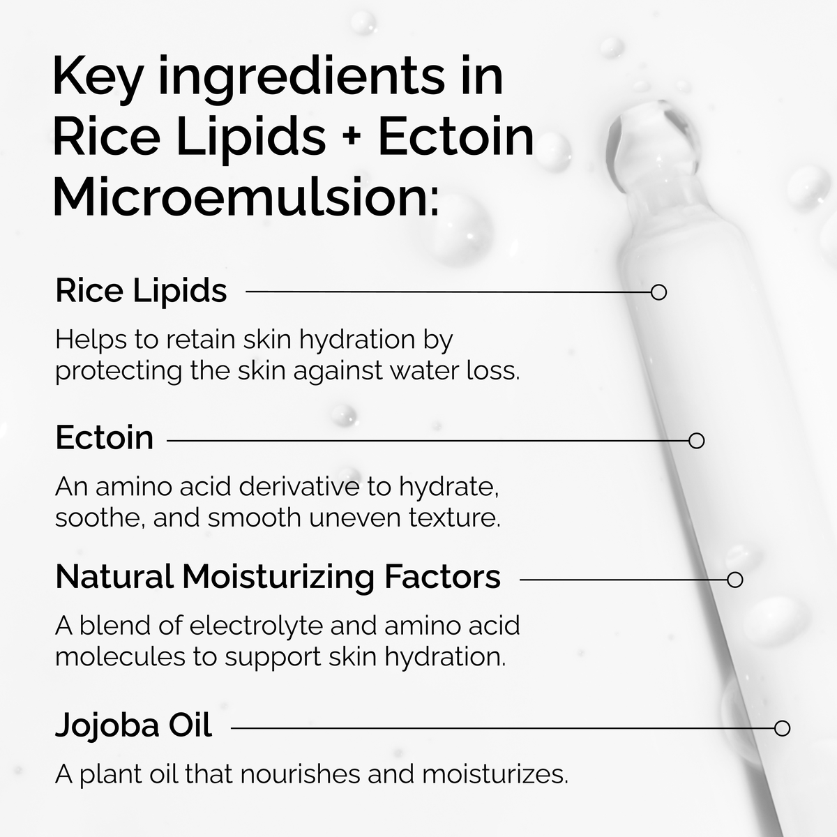 Rice Lipids + Ectoin Microemulsion - Essential Set