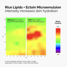Rice Lipids + Ectoin Microemulsion - Essential Set